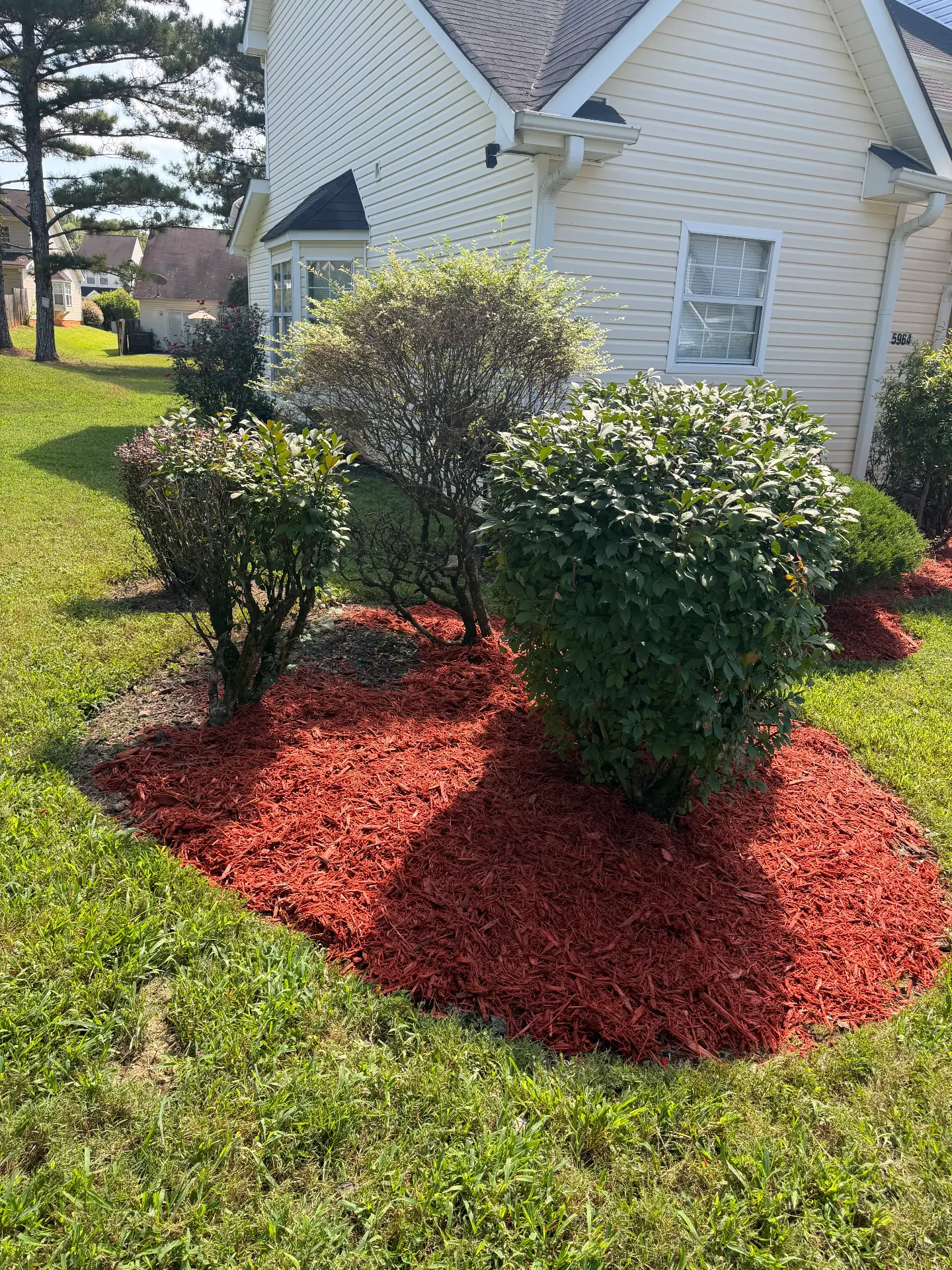 Side exterior and landscaping at 5964 Sherwood Trace